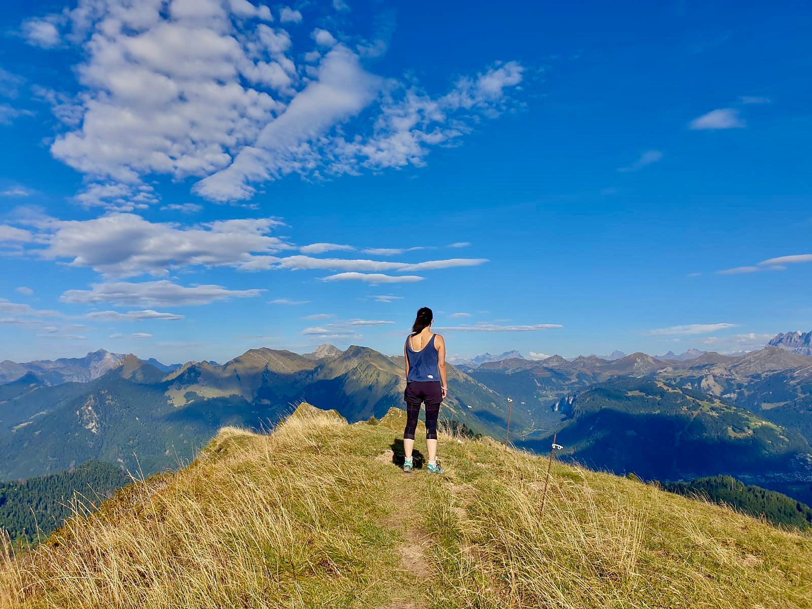 Sommet, panorama des Alpes